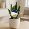 Georgia Southern University Eagle Acrylic Plant Stake