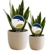 Georgia Southern University Eagle Acrylic Plant Stake