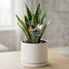 Georgia Tech Buzz Acrylic Plant Stake