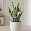 Georgia Tech Driving Buzz Acrylic Plant Stake