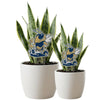 Georgia Tech Driving Buzz Acrylic Plant Stake