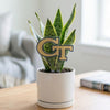 Georgia Tech GT Acrylic Plant Stake