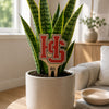 Hampden-Sydney College 'HS' Color Plant Stake
