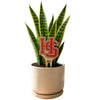 Hampden-Sydney College 'HS' Color Plant Stake