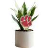 Hampden-Sydney College Paw Color Plant Stake