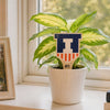 University of Illinois Victory Badge Color Plant Stake