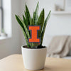 University of Illinois Block I Acrylic Plant Stake