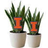 University of Illinois Block I Acrylic Plant Stake