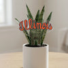 University of Illinois Script Acrylic Plant Stake