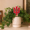Indiana University Trident Color Plant Stake