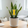 Iowa Block I Acrylic Plant Stake