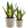 Iowa Block I Acrylic Plant Stake