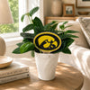 Iowa Hawkeye Color Plant Stake