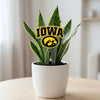 Iowa Logo Acrylic Plant Stake