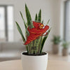 Iowa State Bird Acrylic Plant Stake