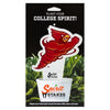 Iowa State Bird Acrylic Plant Stake