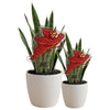 Iowa State Bird Acrylic Plant Stake