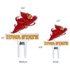 Iowa State Cyclones Acrylic Plant Stake