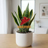 Iowa State Cyclones Acrylic Plant Stake