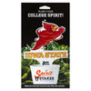 Iowa State Cyclones Acrylic Plant Stake