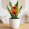Iowa State University Acrylic Plant Stake