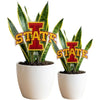 Iowa State University Acrylic Plant Stake