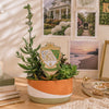 Kappa Delta Crest Color Spirit Stake