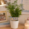 Kappa Kappa Gamma Logo Color Plant Stake