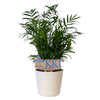 Kappa Kappa Gamma Logo Color Plant Stake