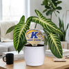 Kent State Golden Eagle Color Plant Stake