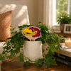 University of Kansas Jayhawk Head Color Plant Stake