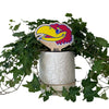 University of Kansas Jayhawk Head Color Plant Stake