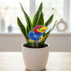 University of Kansas Jayhawk Acrylic Plant Stake