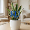 University of Kansas 'KU' Acrylic Plant Stake
