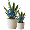 University of Kansas 'KU' Acrylic Plant Stake