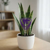 Kansas State University Shield Acrylic Plant Stake