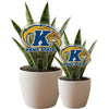 Kent State Golden Eagle Acrylic Plant Stake