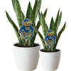 Kent State Fearless Flash Acrylic Plant Stake