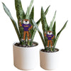 LSU Mascot Acrylic Plant Stake