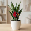 University of Louisville Cardinal Acrylic Plant Stake