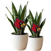 University of Louisville Cardinal Acrylic Plant Stake