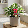 University of Louisville 'L' Color Plant Stake
