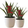 University of Louisville 'L' Acrylic Plant Stake