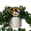 University of Missouri Tiger Color Plant Stake