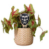 Marietta Devil Color Plant Stake