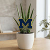 Michigan Blue M Acrylic Plant Stake