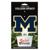 Michigan Blue M Acrylic Plant Stake