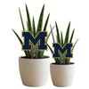 Michigan Blue M Acrylic Plant Stake