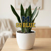 Michigan 'Go Blue' Acrylic Plant Stake