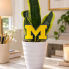Michigan Letter Acrylic Plant Stake
